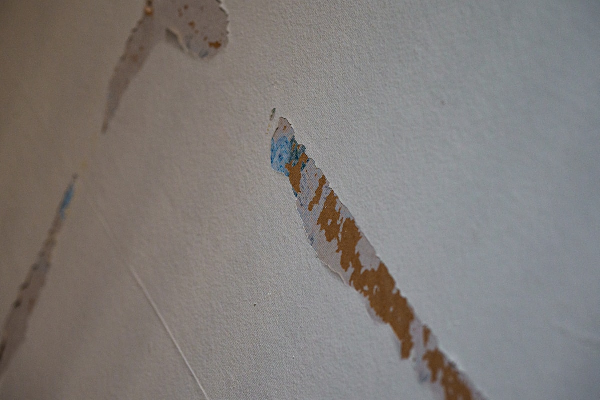 Flood Cleanup service in Colorado Springs, CO